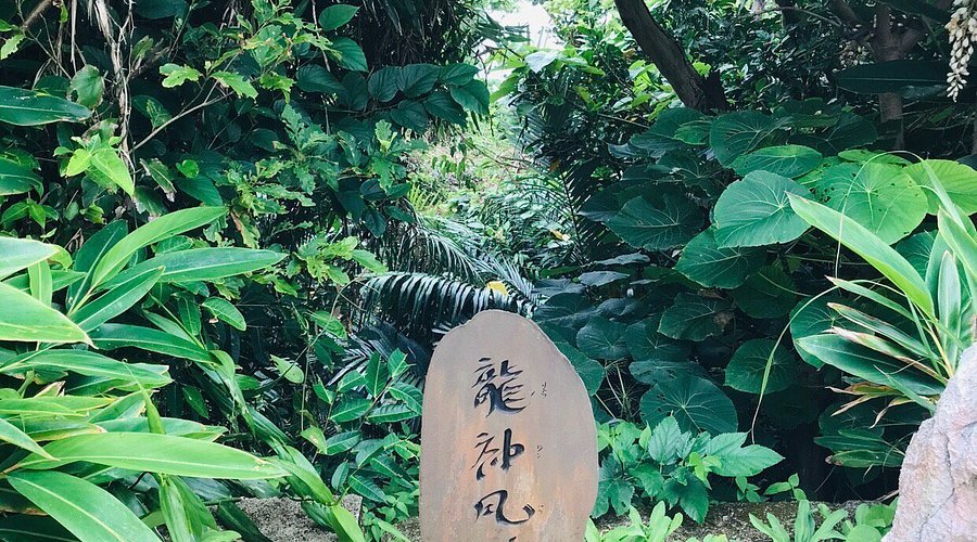 🌬️ 용신 바람길 (류진후도) 이미지 1